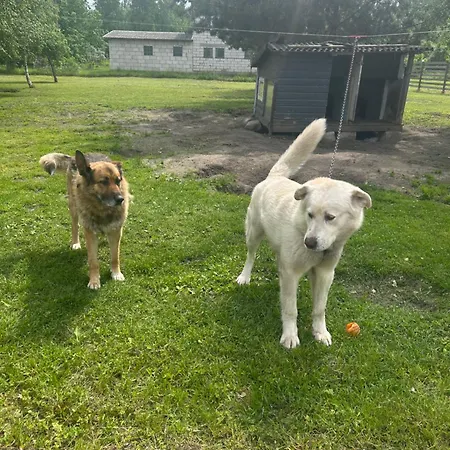 Cozy Near Peipsi Korter *