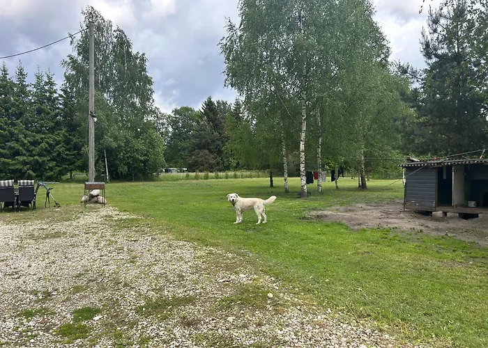 Cozy Near Peipsi Apartamento *